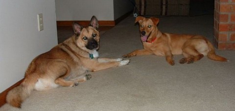 Zoe and Wendy, First Night Together